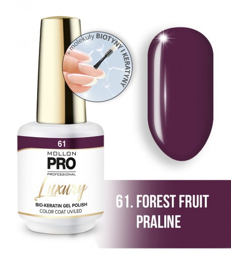 Гель-лак для ногтей MOLLON PRO LUXURY UV/LED №61 (8 мл) Гель-лак для ногтей MOLLON PRO LUXURY UV/LED №61 (8 мл)